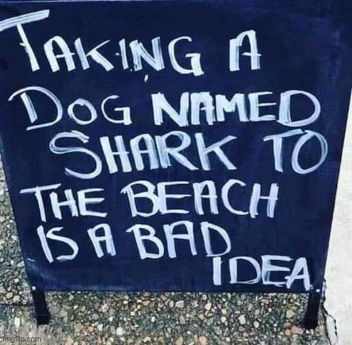 Like saying Hi to Jack at the airport | image tagged in shark dog meme | made w/ Imgflip meme maker