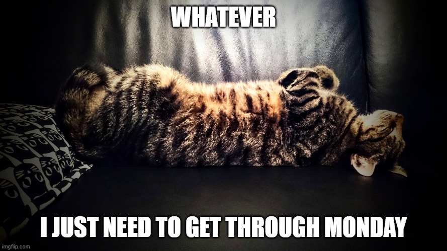 Careless cat | WHATEVER; I JUST NEED TO GET THROUGH MONDAY | image tagged in careless cat | made w/ Imgflip meme maker