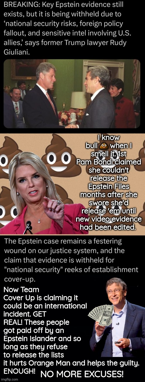 No more feeble excuses on Epstein files | NO MORE EXCUSES! | image tagged in poop,lies,cover up,jeffrey epstein | made w/ Imgflip meme maker