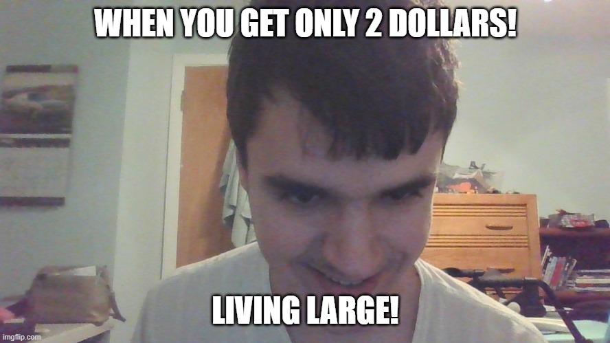 When You Flex Your Two Dollar Bills | WHEN YOU GET ONLY 2 DOLLARS! LIVING LARGE! | image tagged in money | made w/ Imgflip meme maker