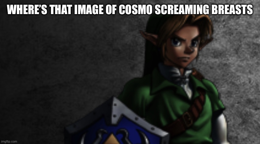 I need it | WHERE’S THAT IMAGE OF COSMO SCREAMING BREASTS | image tagged in link prowler stare | made w/ Imgflip meme maker