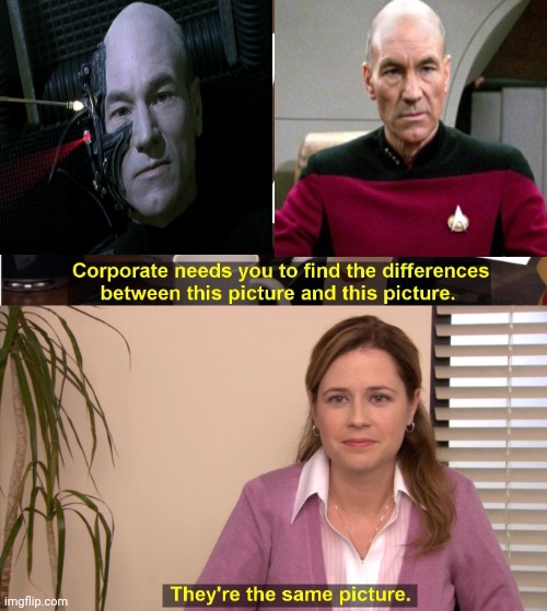 Captain Borg | image tagged in memes,they're the same picture,star trek,captain picard | made w/ Imgflip meme maker