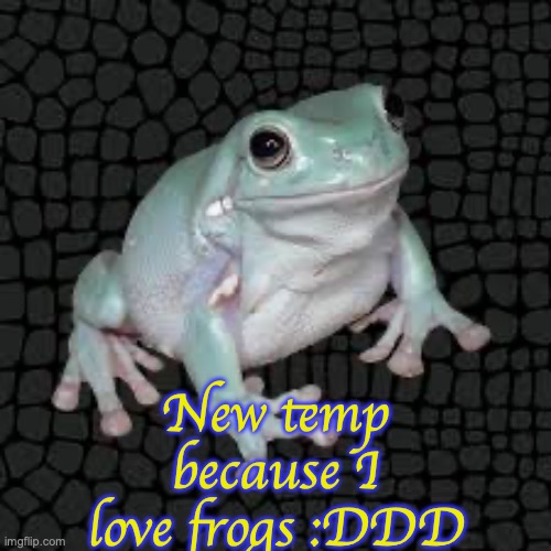 White's Tree Frog | New temp because I love frogs :DDD | image tagged in white's tree frog | made w/ Imgflip meme maker