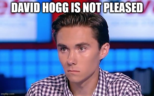 David Hogg | DAVID HOGG IS NOT PLEASED | image tagged in david hogg | made w/ Imgflip meme maker