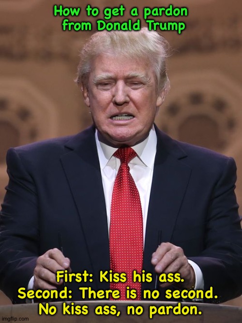 Pardon me, Trump | How to get a pardon
 from Donald Trump; First: Kiss his ass.
Second: There is no second. 
No kiss ass, no pardon. | image tagged in donald trump | made w/ Imgflip meme maker