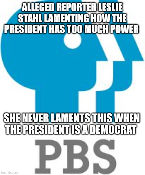 PBS | ALLEGED REPORTER LESLIE STAHL LAMENTING HOW THE PRESIDENT HAS TOO MUCH POWER; SHE NEVER LAMENTS THIS WHEN THE PRESIDENT IS A DEMOCRAT | image tagged in pbs | made w/ Imgflip meme maker