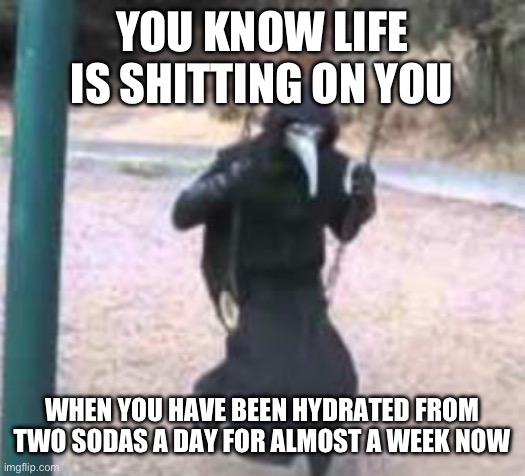 Chat am i cooked | YOU KNOW LIFE IS SHITTING ON YOU; WHEN YOU HAVE BEEN HYDRATED FROM TWO SODAS A DAY FOR ALMOST A WEEK NOW | image tagged in plague doctor troubles | made w/ Imgflip meme maker