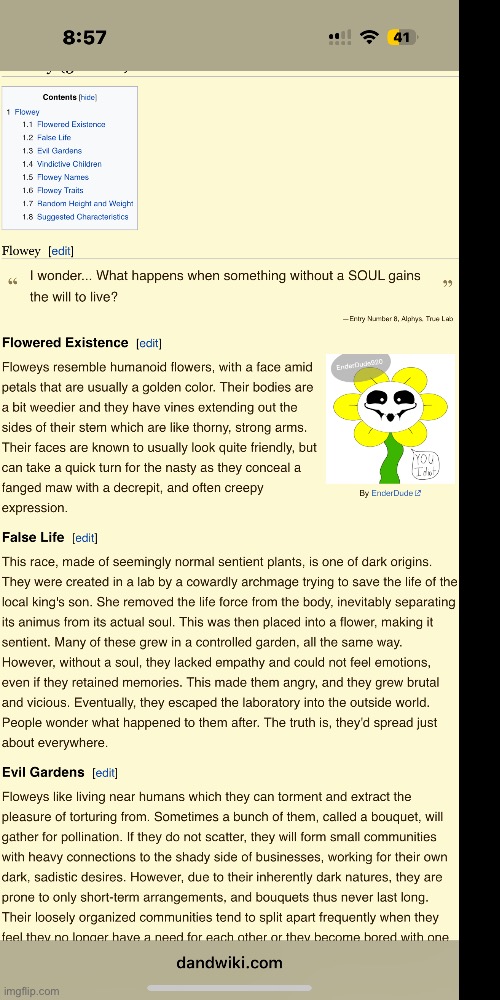 I was scrolling the DnD Wiki because I was bored and I found this | made w/ Imgflip meme maker