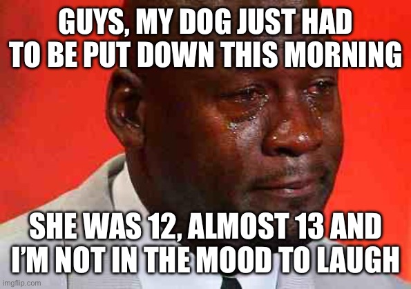 FML | GUYS, MY DOG JUST HAD TO BE PUT DOWN THIS MORNING; SHE WAS 12, ALMOST 13 AND I’M NOT IN THE MOOD TO LAUGH | image tagged in crying michael jordan | made w/ Imgflip meme maker