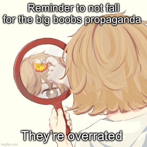 Avogado6 | Reminder to not fall for the big boobs propaganda; They’re overrated | image tagged in avogado6 | made w/ Imgflip meme maker