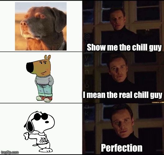 The real chill guy | Show me the chill guy; I mean the real chill guy; Perfection | image tagged in show me the real,chill guy,snoopy,joe,cool | made w/ Imgflip meme maker
