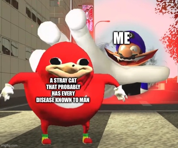 Meme | ME; A STRAY CAT THAT PROBABLY HAS EVERY DISEASE KNOWN TO MAN | image tagged in smg3 grabbing uganda knuckles | made w/ Imgflip meme maker