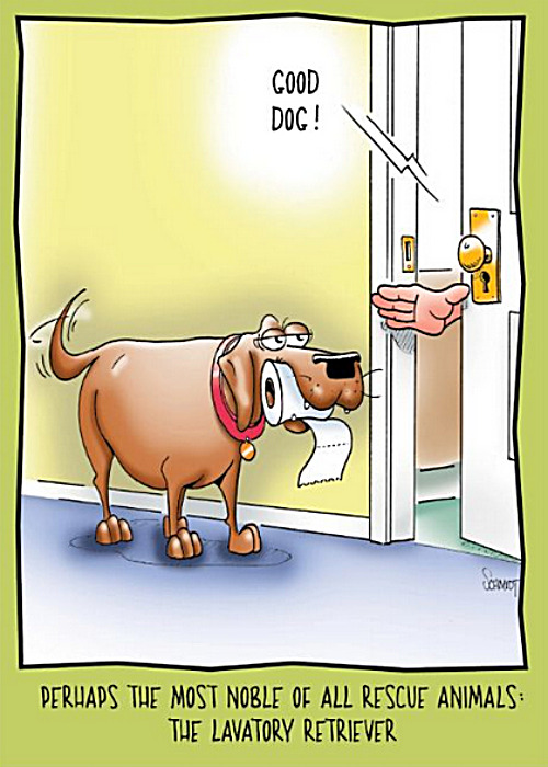 Well trained home K9 | image tagged in memes,dogs | made w/ Imgflip meme maker