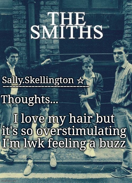 Sally's temp | I love my hair but it's so overstimulating I'm lwk feeling a buzz | image tagged in sally's temp | made w/ Imgflip meme maker