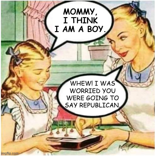 Mommy What Is Blank | MOMMY, I THINK I AM A BOY. WHEW! I WAS WORRIED YOU WERE GOING TO SAY REPUBLICAN. | image tagged in mommy what is blank | made w/ Imgflip meme maker