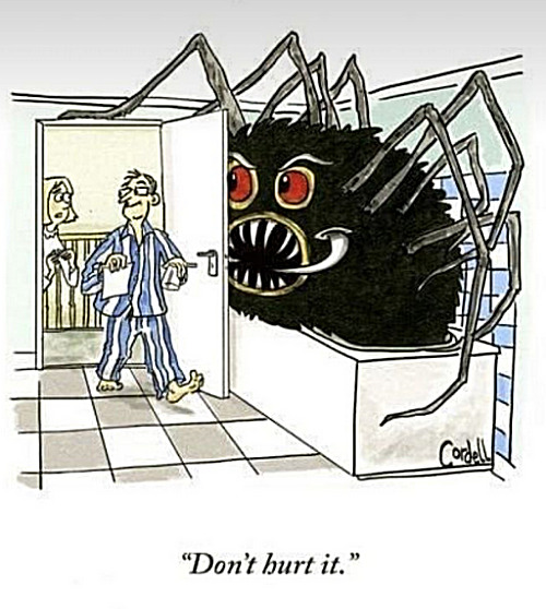 She said there was a big spider in the bathtub. Little did he know... | image tagged in memes,comics,fun,spiders | made w/ Imgflip meme maker