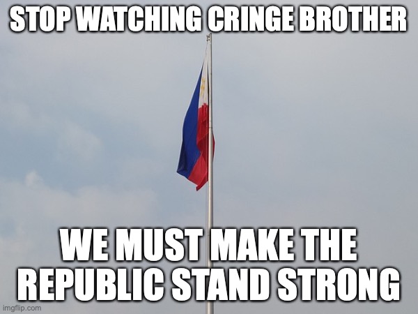 random meme I made | STOP WATCHING CRINGE BROTHER; WE MUST MAKE THE REPUBLIC STAND STRONG | image tagged in memes,oh no cringe | made w/ Imgflip meme maker
