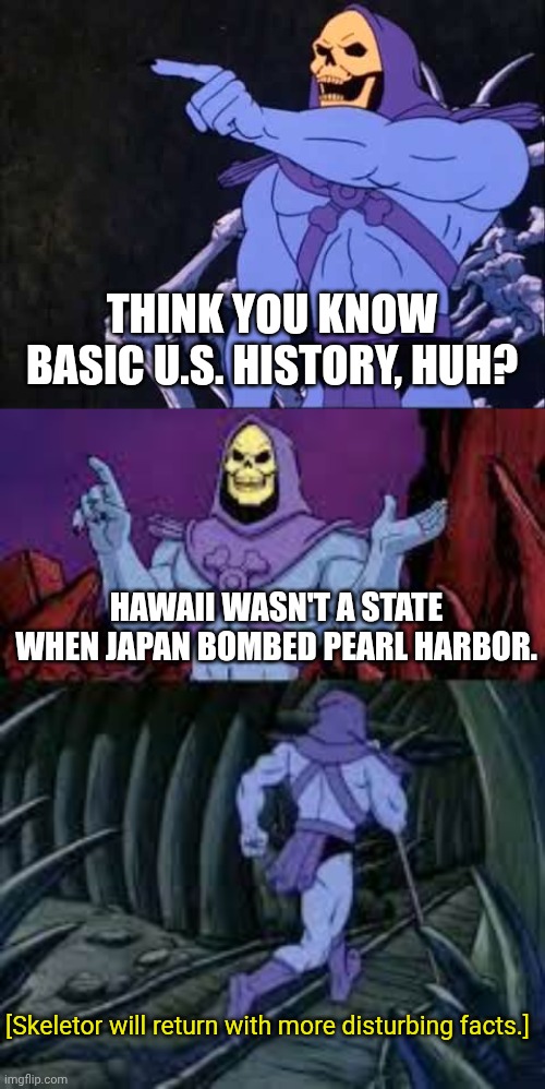 US History | THINK YOU KNOW BASIC U.S. HISTORY, HUH? HAWAII WASN'T A STATE WHEN JAPAN BOMBED PEARL HARBOR. [Skeletor will return with more disturbing facts.] | image tagged in skeletor,skeletor until next time | made w/ Imgflip meme maker