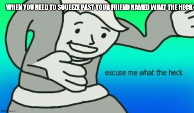 Excuse Me What The Heck | WHEN YOU NEED TO SQUEEZE PAST YOUR FRIEND NAMED WHAT THE HECK | image tagged in excuse me what the heck | made w/ Imgflip meme maker