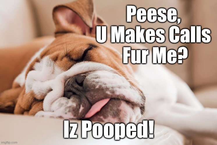 Peese U Makes Calls Bulldog | Peese, 
U Makes Calls 
Fur Me? Iz Pooped! | image tagged in peese makes calls,iz pooped bulldog | made w/ Imgflip meme maker