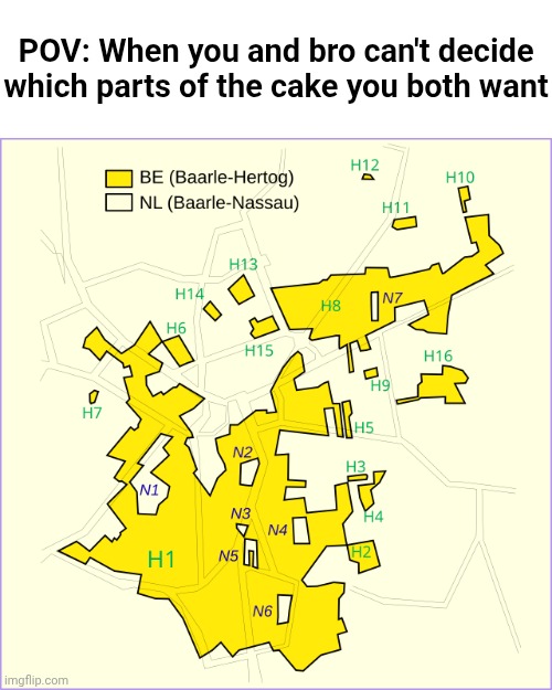 The Town that's Located in Two Countries | POV: When you and bro can't decide which parts of the cake you both want | image tagged in baarle | made w/ Imgflip meme maker