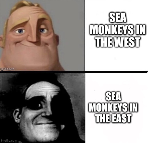 Mr Incredible becomes uncanny - 2 slides | SEA MONKEYS IN THE WEST; SEA MONKEYS IN THE EAST | image tagged in mr incredible becomes uncanny - 2 slides | made w/ Imgflip meme maker