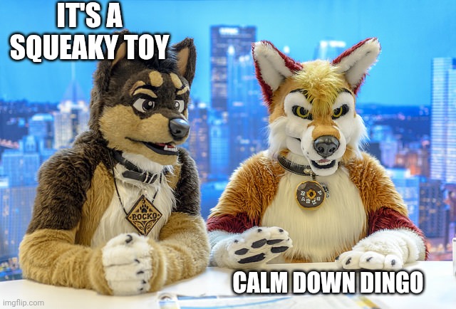 Furry News | IT'S A SQUEAKY TOY; CALM DOWN DINGO | image tagged in furry news | made w/ Imgflip meme maker