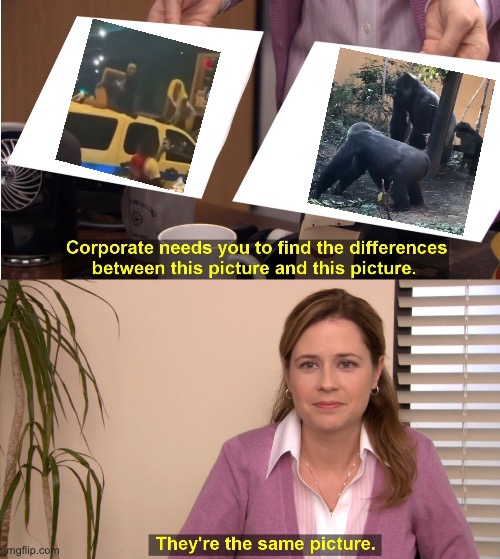 They're The Same Picture | image tagged in memes,they're the same picture | made w/ Imgflip meme maker