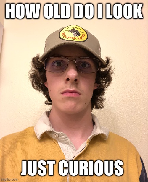 Ignore how crooked my nose is, I got in a fight once. | HOW OLD DO I LOOK; JUST CURIOUS | image tagged in fish,why are you reading the tags,barney will eat all of your delectable biscuits | made w/ Imgflip meme maker