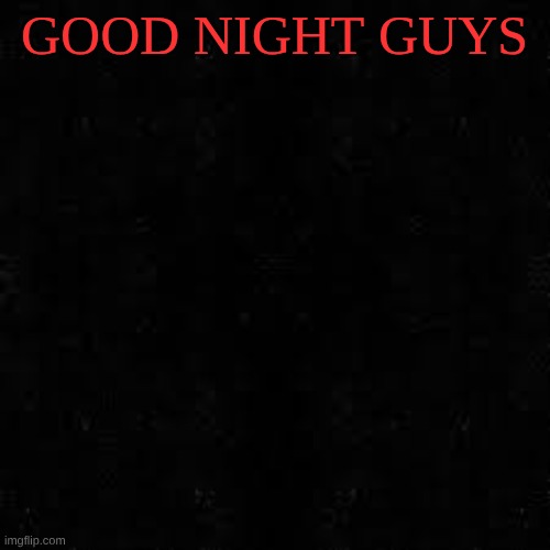 Black screen | GOOD NIGHT GUYS | image tagged in black screen | made w/ Imgflip meme maker
