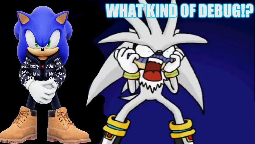 sonic and silver shock | WHAT KIND OF DEBUG!? | image tagged in sonic and silver shock | made w/ Imgflip meme maker