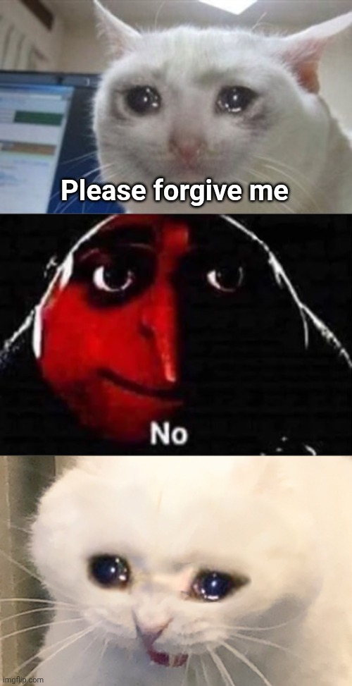 Apology denied memes on DeviantArt be like. | Please forgive me | image tagged in gru no,sad cat,crying cat,crying,deviantart,apology | made w/ Imgflip meme maker