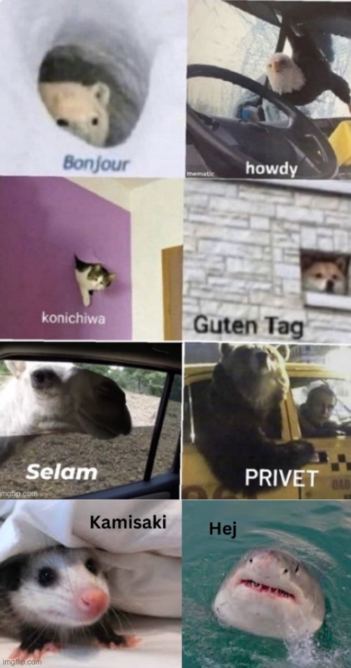 Bonjour howdy konichiwa guten tag Selam privet Kamisaki hej | image tagged in bonjour howdy konichiwa guten tag selam privet kamisaki hej | made w/ Imgflip meme maker
