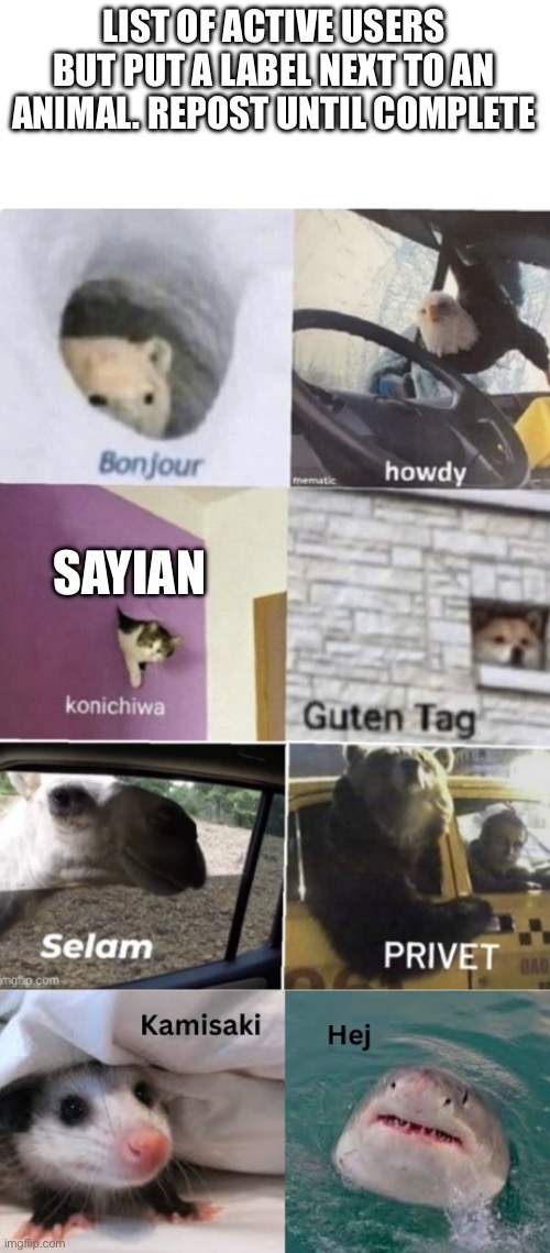 Bonjour howdy konichiwa guten tag Selam privet Kamisaki hej | LIST OF ACTIVE USERS BUT PUT A LABEL NEXT TO AN ANIMAL. REPOST UNTIL COMPLETE; SAYIAN | image tagged in bonjour howdy konichiwa guten tag selam privet kamisaki hej | made w/ Imgflip meme maker