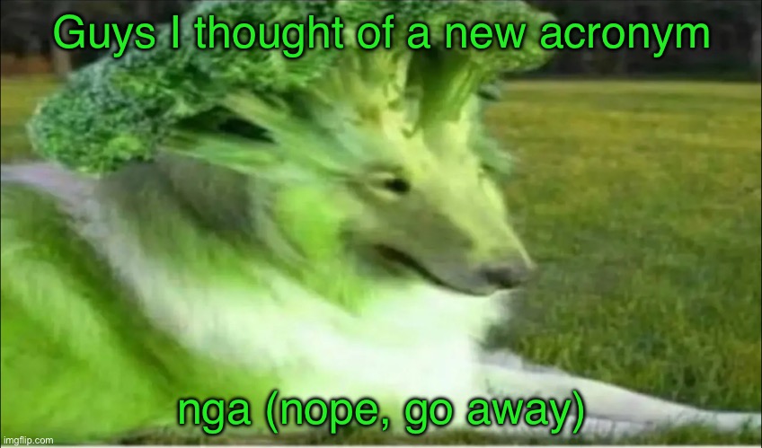 Broco dogo | Guys I thought of a new acronym; nga (nope, go away) | image tagged in broco dogo | made w/ Imgflip meme maker