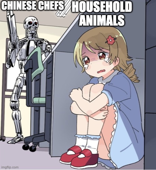 Um.. No Offense, Chinese, BUT WHY DO YOU GUYS EAT CATS AND DOGS??? | HOUSEHOLD ANIMALS; CHINESE CHEFS | image tagged in anime girl hiding from terminator,china,food | made w/ Imgflip meme maker