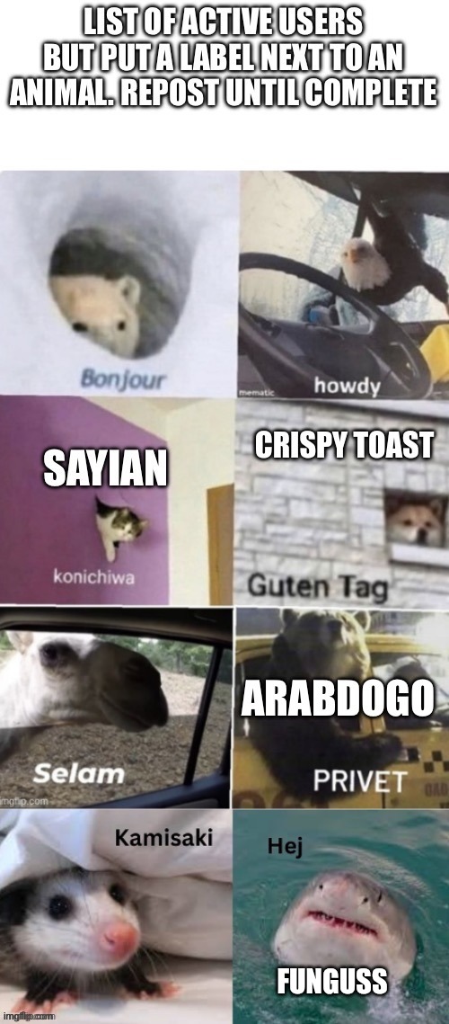 FUNGUSS | made w/ Imgflip meme maker
