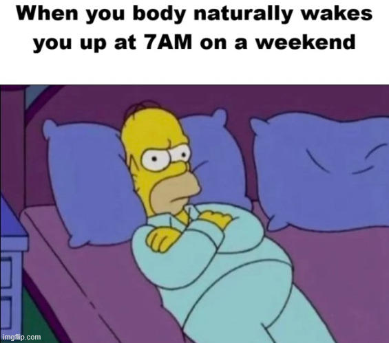 Frustration | image tagged in weekend,the simpsons,memes,lattice climbing,climbing memes,humor | made w/ Imgflip meme maker