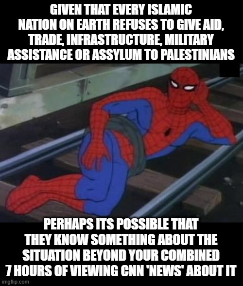 when the people who live next to 'the current thing' don't agree with your conclusion | GIVEN THAT EVERY ISLAMIC NATION ON EARTH REFUSES TO GIVE AID, TRADE, INFRASTRUCTURE, MILITARY ASSISTANCE OR ASSYLUM TO PALESTINIANS; PERHAPS ITS POSSIBLE THAT THEY KNOW SOMETHING ABOUT THE SITUATION BEYOND YOUR COMBINED 7 HOURS OF VIEWING CNN 'NEWS' ABOUT IT | image tagged in memes,sexy railroad spiderman,spiderman | made w/ Imgflip meme maker