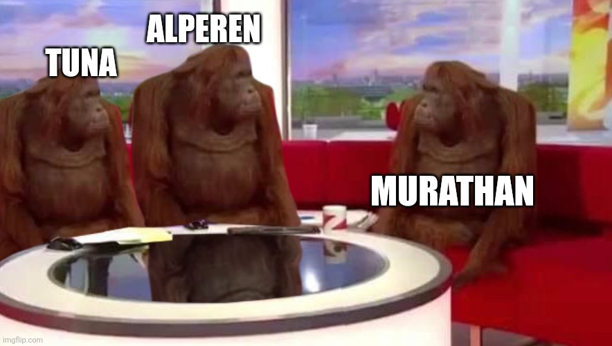 where monkey | ALPEREN; TUNA; MURATHAN | image tagged in where monkey | made w/ Imgflip meme maker