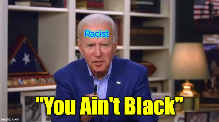 Biden You Ain't Black | Racist "You Ain't Black" | image tagged in biden you ain't black | made w/ Imgflip meme maker