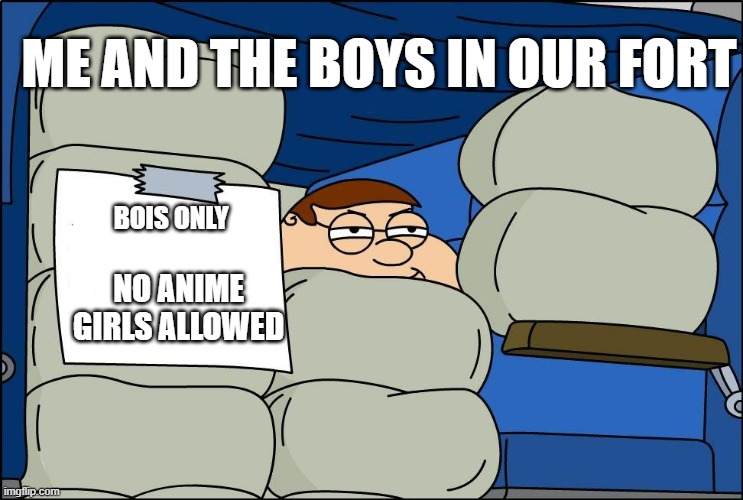 No Girls Allowed | ME AND THE BOYS IN OUR FORT; BOIS ONLY; NO ANIME GIRLS ALLOWED | image tagged in no girls allowed | made w/ Imgflip meme maker