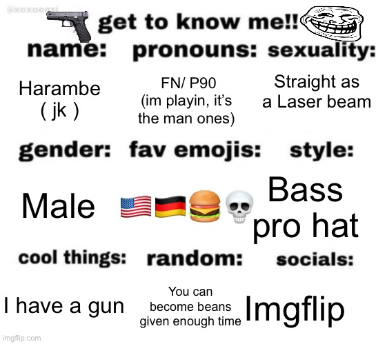 Cheese | Straight as a Laser beam; Harambe ( jk ); FN/ P90 (im playin, it’s the man ones); Bass pro hat; 🇺🇸🇩🇪🍔💀; Male; Imgflip; You can become beans given enough time; I have a gun | image tagged in get to know me but better | made w/ Imgflip meme maker