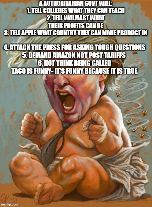 TACO Doonie, aka the I blink 1st POTUS | A AUTHORITARIAN GOVT WILL:
1. TELL COLLEGES WHAT THEY CAN TEACH
2. TELL WALMART WHAT THEIR PROFITS CAN BE
3. TELL APPLE WHAT COUNTRY THEY CAN MAKE PRODUCT IN; 4. ATTACK THE PRESS FOR ASKING TOUGH QUESTIONS
5. DEMAND AMAZON NOT POST TARIFFS 
6. NOT THINK BEING CALLED TACO IS FUNNY- IT'S FUNNY BECAUSE IT IS TRUE | image tagged in trump baby infant full diaper | made w/ Imgflip meme maker