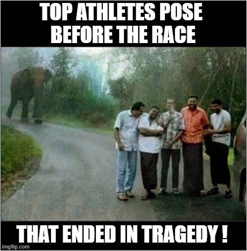 It's Time To Start Running ! | TOP ATHLETES POSE
 BEFORE THE RACE; THAT ENDED IN TRAGEDY ! | image tagged in start running,elephant,race,tragedy,dark humour | made w/ Imgflip meme maker