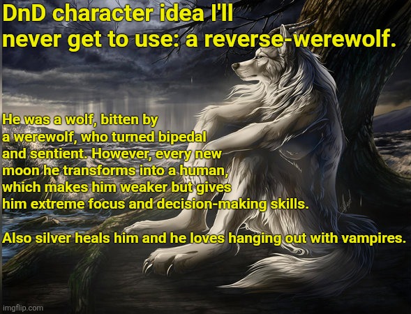 I'll have to ask my friend/DM if I can do this because it would be hilarious | DnD character idea I'll never get to use: a reverse-werewolf. He was a wolf, bitten by a werewolf, who turned bipedal and sentient. However, every new moon he transforms into a human, which makes him weaker but gives him extreme focus and decision-making skills.
 
Also silver heals him and he loves hanging out with vampires. | image tagged in melancholic werewolf,werewolf,dnd,dungeons and dragons,memes | made w/ Imgflip meme maker