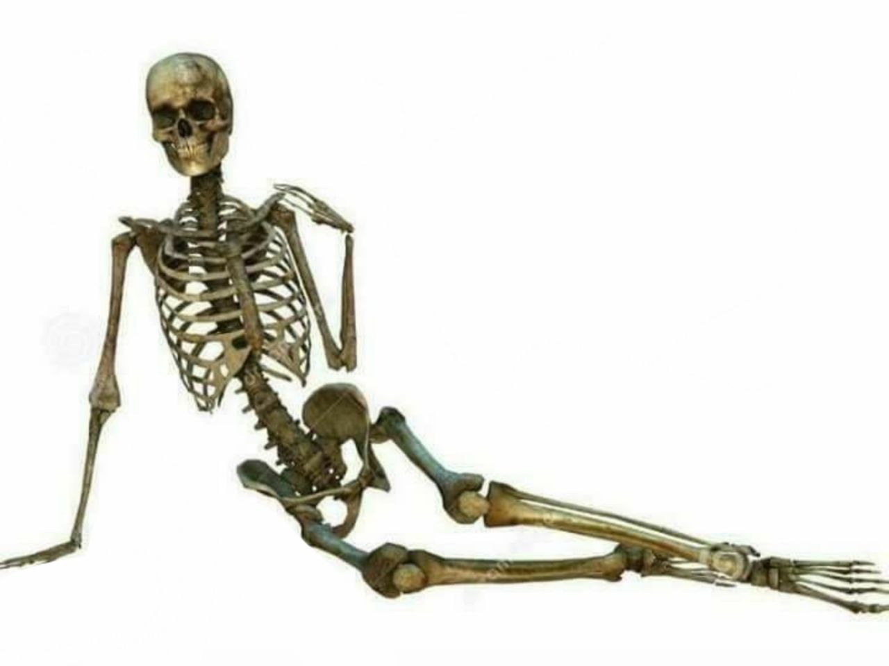 sexy skeleton Blank Meme Template