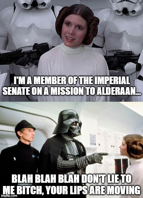 Lying Leia | I'M A MEMBER OF THE IMPERIAL SENATE ON A MISSION TO ALDERAAN... BLAH BLAH BLAH DON'T LIE TO ME BITCH, YOUR LIPS ARE MOVING | image tagged in princess leia,darth vader leia | made w/ Imgflip meme maker