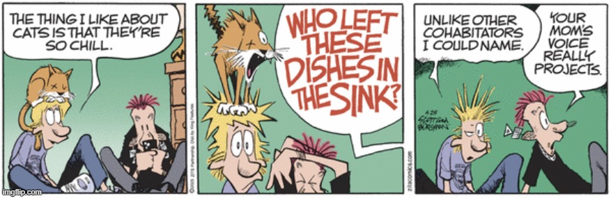 Zits | image tagged in comics | made w/ Imgflip meme maker