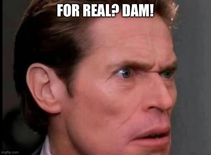 FOR REAL? DAM! | made w/ Imgflip meme maker